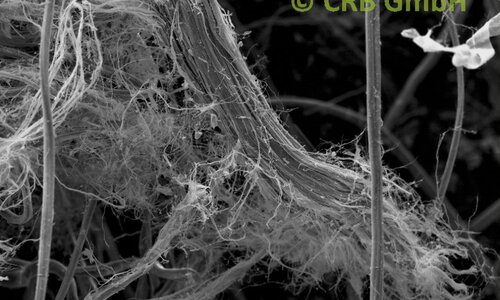 Immagine SEM crisotilo amianto in piastra isolante | © CRB Analysis Service GmbH